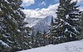 20260401_133451.jpg