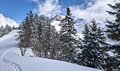 20260401_133535.jpg