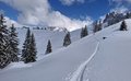 20260401_134132.jpg