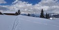 20260401_134510.jpg