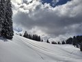 20260401_135129.jpg