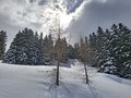 20260401_135952.jpg