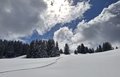 20260401_140502.jpg