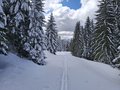 20260401_141836.jpg
