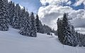 20260401_141937.jpg