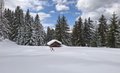20260401_145608.jpg