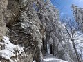 20260401_150732.jpg