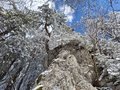 20260401_150734.jpg