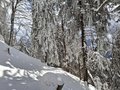 20260401_150740.jpg