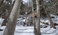 20260401_151307.jpg