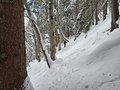 20260401_151844.jpg