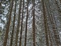 20260401_153237.jpg