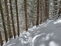 20260401_153239.jpg