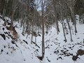 20260401_160607.jpg
