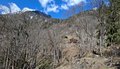 20260406_105859.jpg