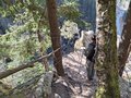 20260406_111811.jpg