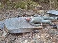 20260406_112218.jpg