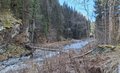 20260406_113009.jpg