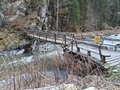 20260406_113116.jpg