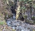 20260406_113946.jpg