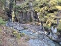 20260406_114026.jpg