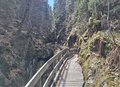 20260406_115533.jpg