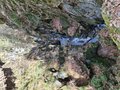 20260406_115753.jpg