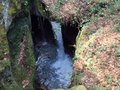 20260406_115927.jpg