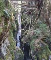 20260406_115943.jpg