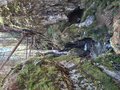 20260406_115949.jpg