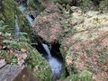20260406_120424.jpg