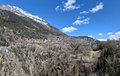 20260406_122910.jpg