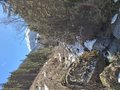 20260406_130556.jpg