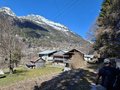 20260406_131801.jpg