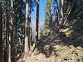 20260406_145633.jpg