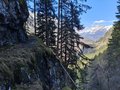 20260406_150240.jpg
