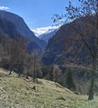 20260406_153902.jpg