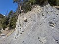 20260411_120229.jpg