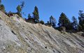 20260411_120232.jpg