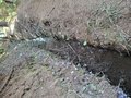 20260411_125156.jpg