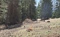 20260411_130952.jpg