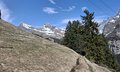 20260411_143814.jpg