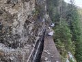 20260411_150033.jpg