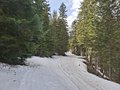 20260411_151231.jpg