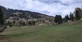 20260411_161422.jpg