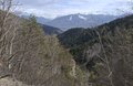 20260411_165839.jpg