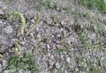 20260411_181808.jpg