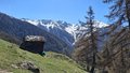 20260418_115051.jpg
