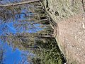 20260418_115605.jpg