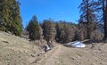 20260418_121138.jpg